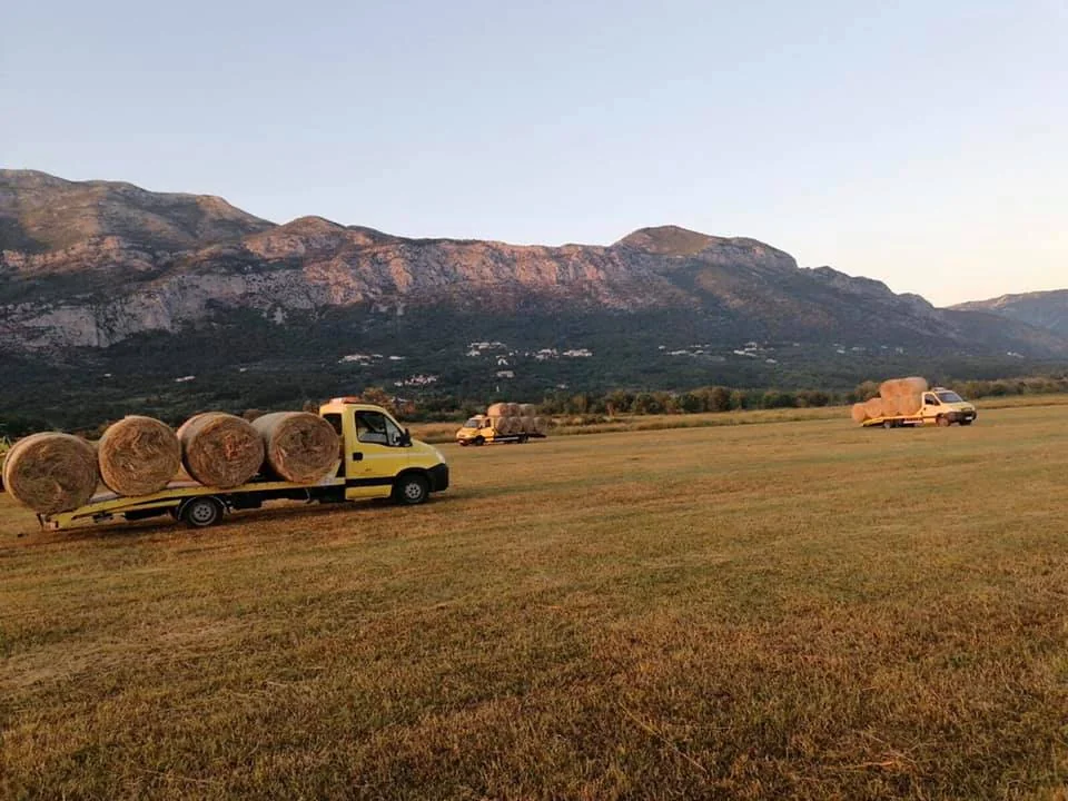 Our transport fleet